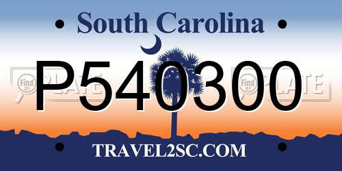 P540300 South Carolina License Plate
