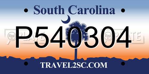 P540304 South Carolina License Plate