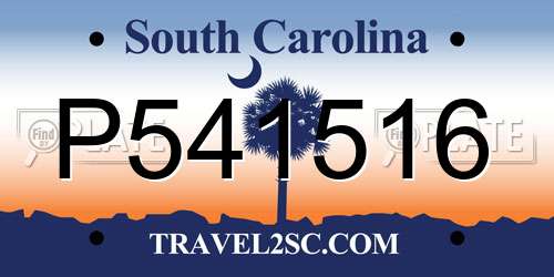 P541516 South Carolina License Plate