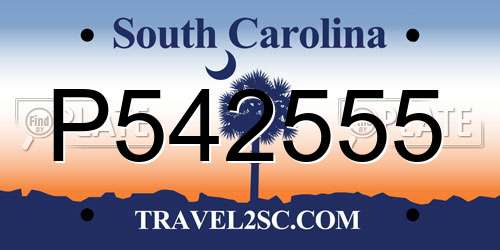 P542555 South Carolina License Plate