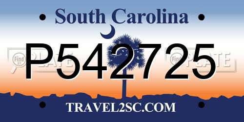 P542725 South Carolina License Plate