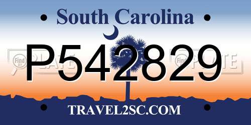 P542829 South Carolina License Plate
