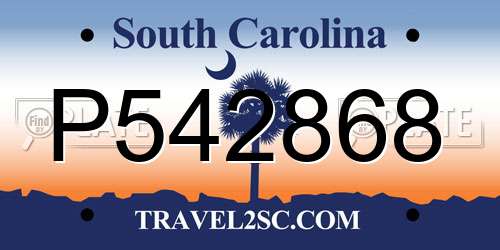 P542868 South Carolina License Plate