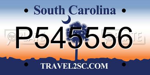 P545556 South Carolina License Plate