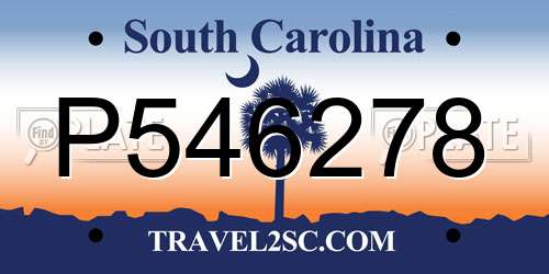 P546278 South Carolina License Plate