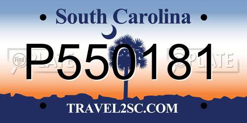 P550181 South Carolina License Plate