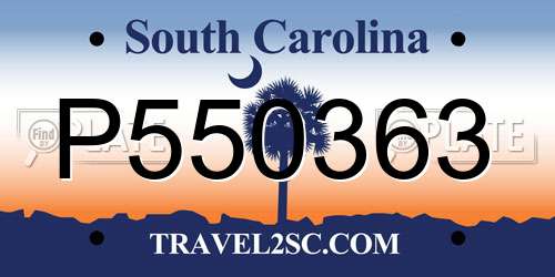 P550363 South Carolina License Plate