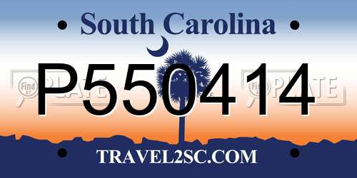 P550414 South Carolina License Plate