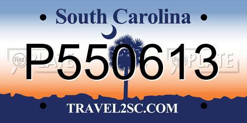 P550613 South Carolina License Plate