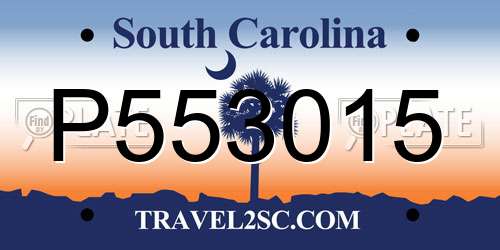 P553015 South Carolina License Plate