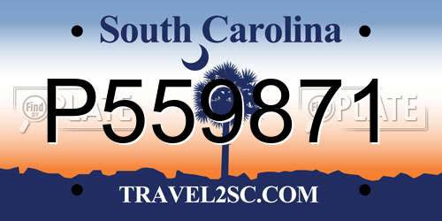 P559871 South Carolina License Plate