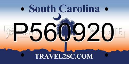 P560920 South Carolina License Plate