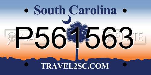 P561563 South Carolina License Plate