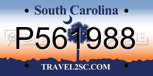 P561988 South Carolina License Plate