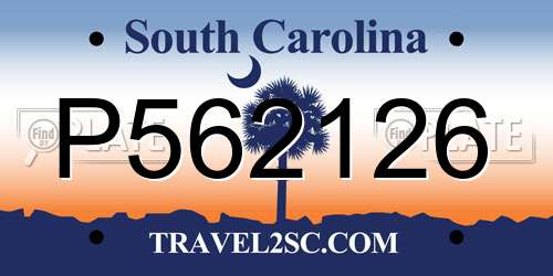 P562126 South Carolina License Plate