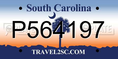 P564197 South Carolina License Plate