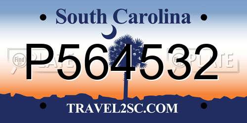 P564532 South Carolina License Plate