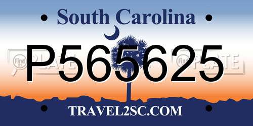 P565625 South Carolina License Plate