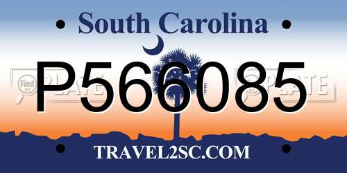 P566085 South Carolina License Plate