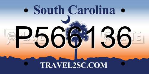 P566136 South Carolina License Plate
