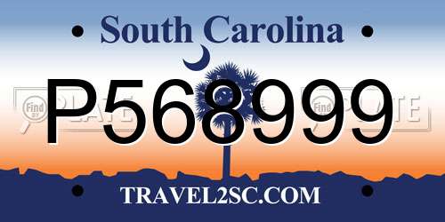 P568999 South Carolina License Plate