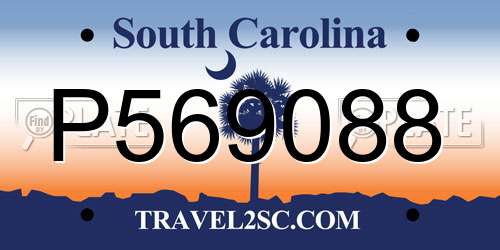 P569088 South Carolina License Plate