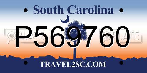 P569760 South Carolina License Plate