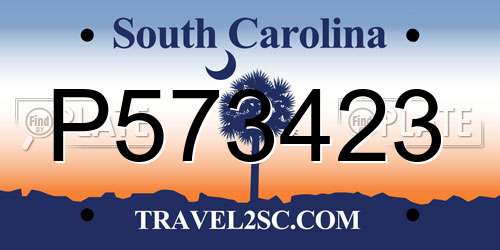 P573423 South Carolina License Plate