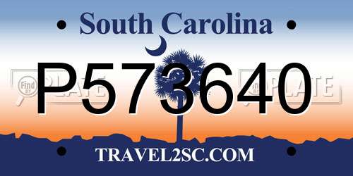 P573640 South Carolina License Plate
