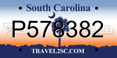 P578382 South Carolina License Plate