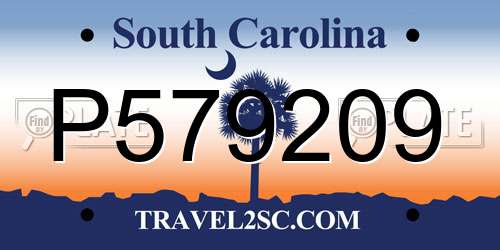 P579209 South Carolina License Plate