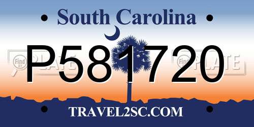 P581720 South Carolina License Plate