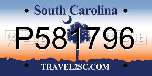 P581796 South Carolina License Plate