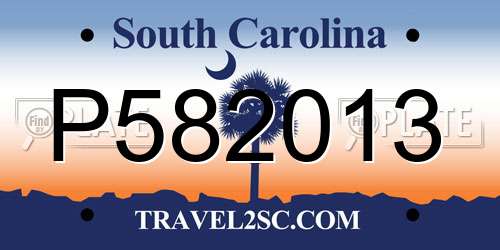P582013 South Carolina License Plate
