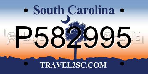 P582995 South Carolina License Plate