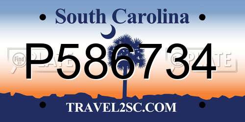 P586734 South Carolina License Plate
