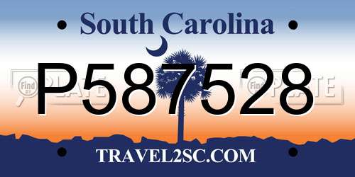 P587528 South Carolina License Plate