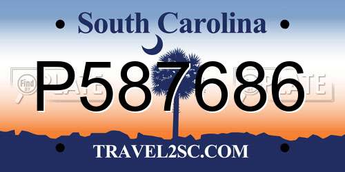 P587686 South Carolina License Plate