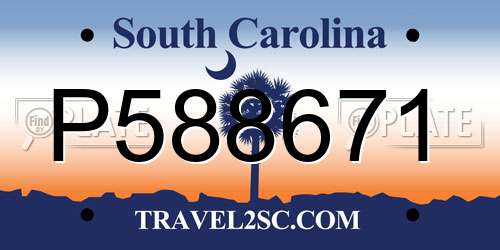 P588671 South Carolina License Plate