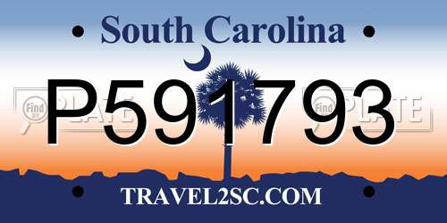 P591793 South Carolina License Plate