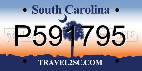 P591795 South Carolina License Plate