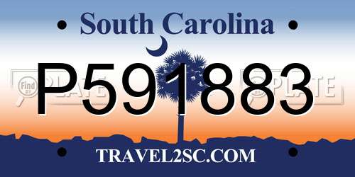 P591883 South Carolina License Plate