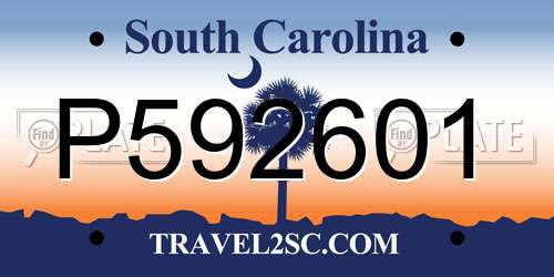 P592601 South Carolina License Plate