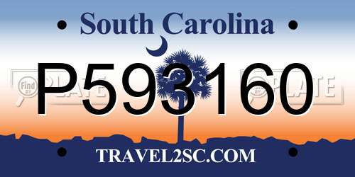 P593160 South Carolina License Plate