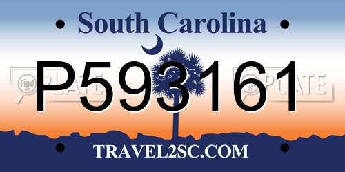 P593161 South Carolina License Plate