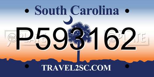 P593162 South Carolina License Plate