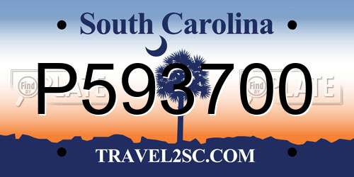 P593700 South Carolina License Plate