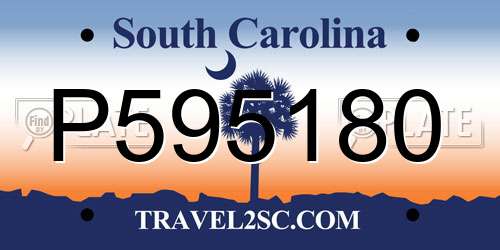 P595180 South Carolina License Plate