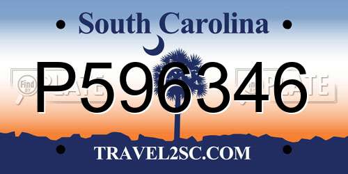 P596346 South Carolina License Plate