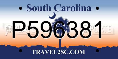 P596381 South Carolina License Plate